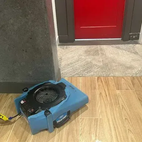 Air movers and a dehumidifier running in a living room while a technician reads a moisture meter