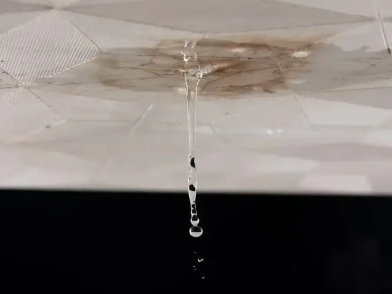Water dripping from a stained ceiling inside a home