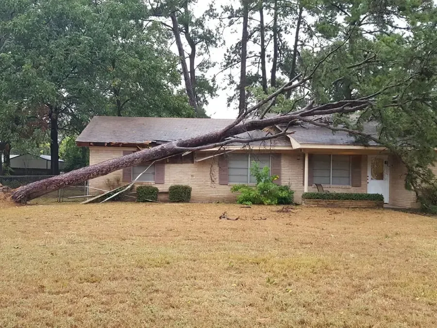 Pine tree lying across the roof of a brick ranch house after a storm
